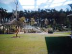 de tuin